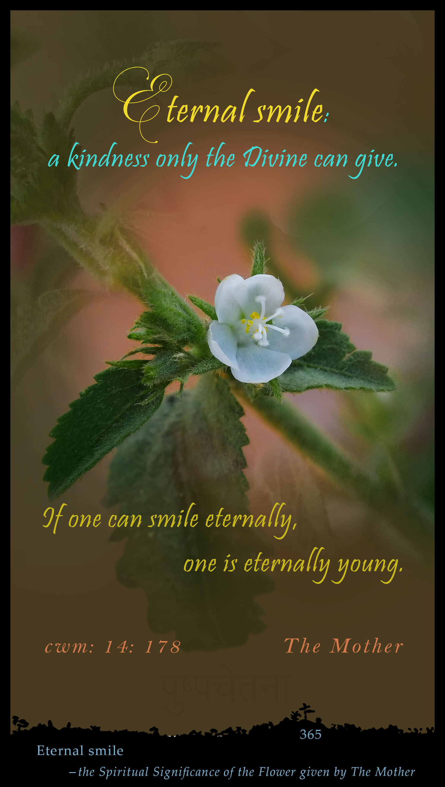 Eternal Smile